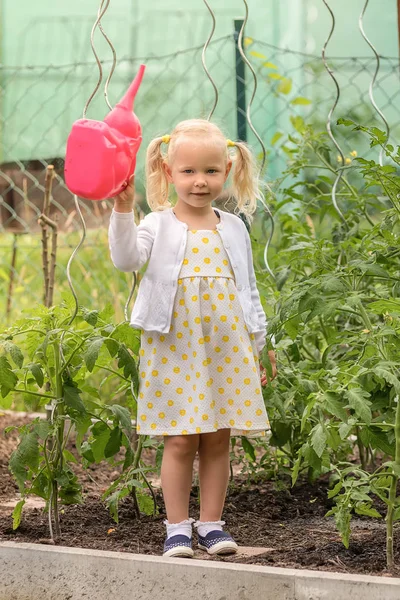 La bambina che annaffia un raccolto con un annaffiatoio rosa — Foto Stock