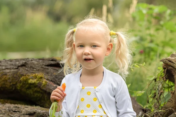 La niña cosecha zanahorias y come zanahorias en el jardín — Foto de Stock