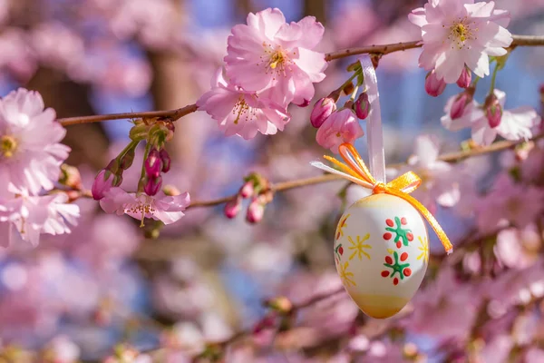 Paskalya arkaplanı çiçek açan sakura ve paskalya yumurtası. — Stok fotoğraf