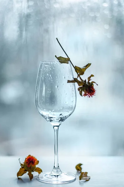 Νεκρή Ζωή Ένα Άδειο Ποτήρι Κρασί Και Ένα Ξηρό Λουλούδι — Φωτογραφία Αρχείου