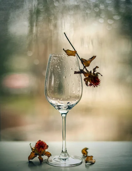 Zátiší Prázdnou Sklenicí Vína Suchým Květem — Stock fotografie