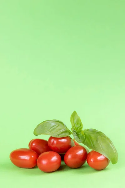 Tomates Manjericão Sobre Fundo Verde — Fotografia de Stock