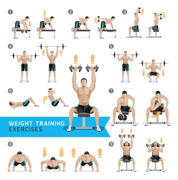 Exercícios e exercícios de halteres Treino de peso . —  Vetores de Stock