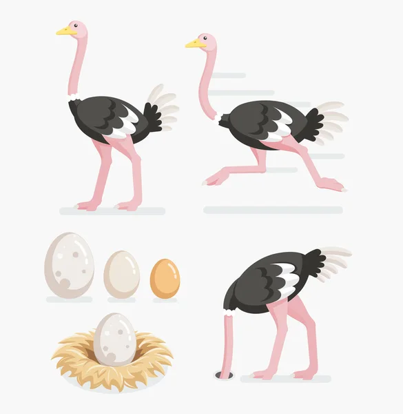 Pštros a pštrosí vejce na hnízda. Vektorové ilustrace plochý — Stockový vektor