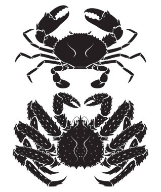 Alaskan king crab. Vektör çizimler.