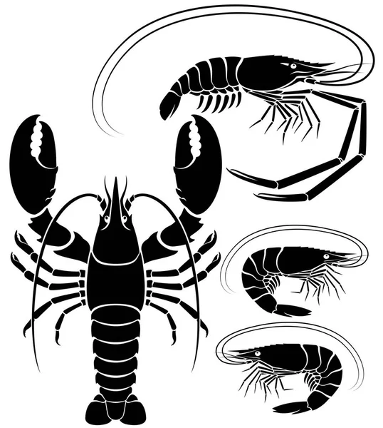 Langosta camarones y langostinos. Ilustraciones vectoriales . — Vector de stock