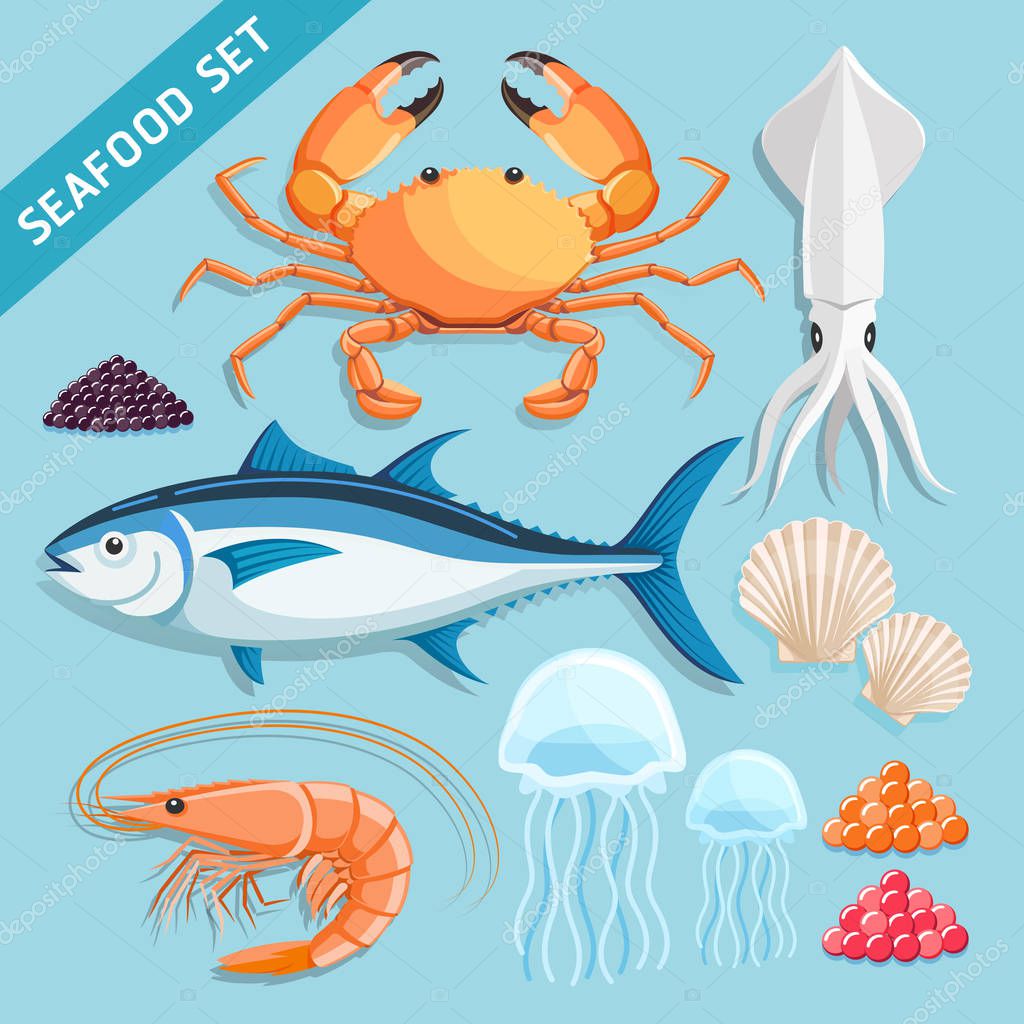 Seafood Set. crab, squid, tuna, shrimp, jellyfish, shellfish and caviar eggs. Vector Illustrations.
