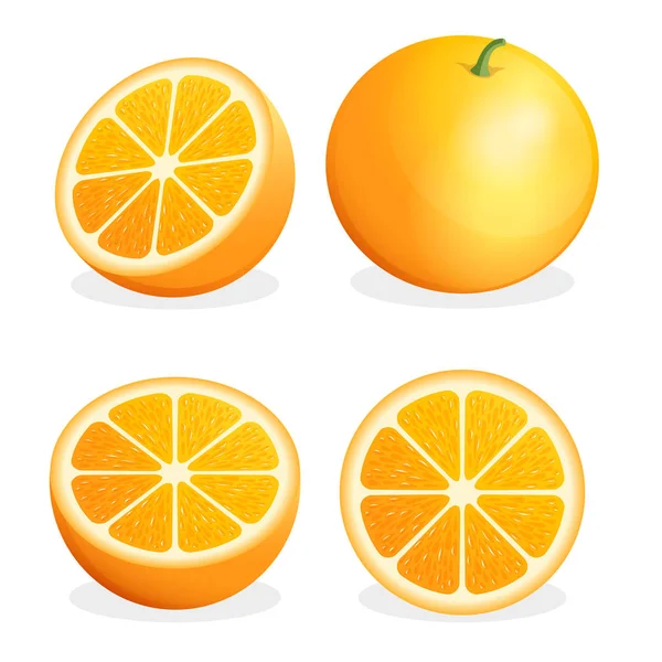 Sinaasappelfruit. Vectorillustratie. — Stockvector