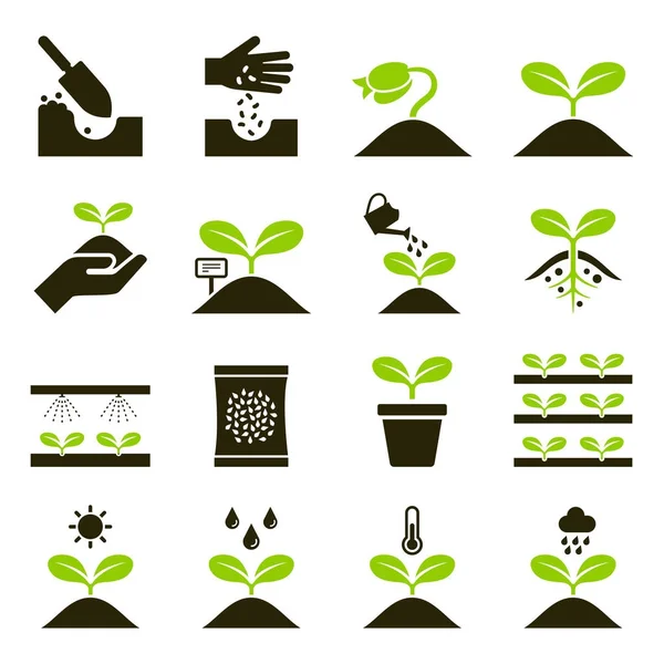 Plant icons. Vector Illustrations. — Stock Vector