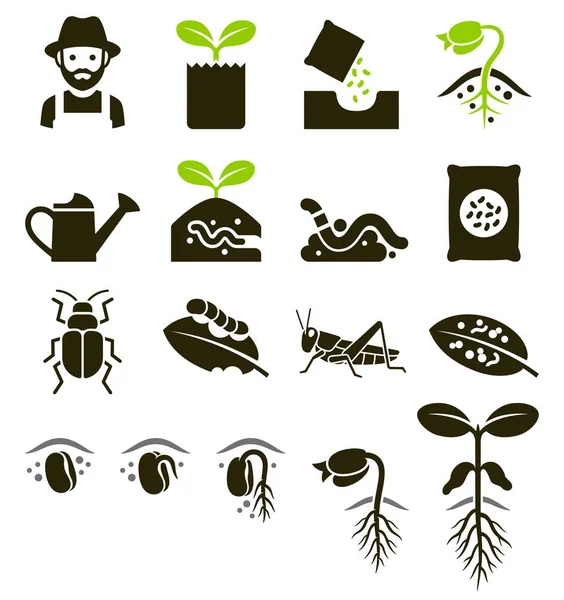 Planta iconos. Ilustraciones vectoriales . — Archivo Imágenes Vectoriales