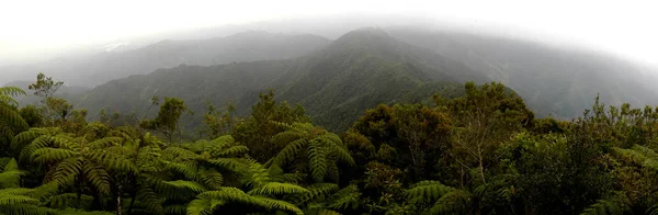 De Sierra Maestra, gezien vanaf Turquino Peak, de hoogste van Cuba. — Stockfoto