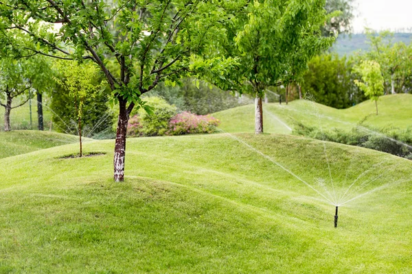 Aspersores automáticos riego novedoso jardín de frutas con colinas cubiertas por césped de hierba verde — Foto de Stock