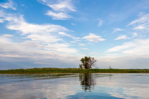 Un paisaje idílico de orilla del lago con árboles y juncos, hermoso cielo profundo y reflexión — Foto de Stock