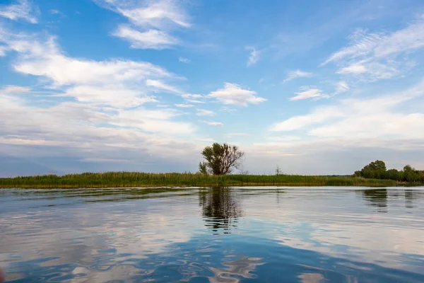 Un paisaje idílico de orilla del lago con árboles y juncos, hermoso cielo profundo y reflexión — Foto de Stock