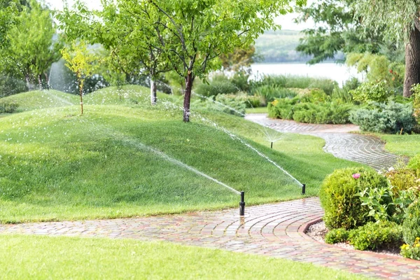 Aspersores automáticos rega jardim de frutas moderno com colinas cov — Fotografia de Stock