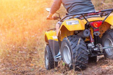 Güzel bir sonbahar çam ormanı zekâ bir Atv quadbike kişini
