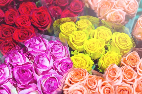 Klasar av multiclored rosor. Färska blommor bakgrund. Florist service. Partihandel blomsteraffär. Blomma-lagring. Ovanifrån — Stockfoto