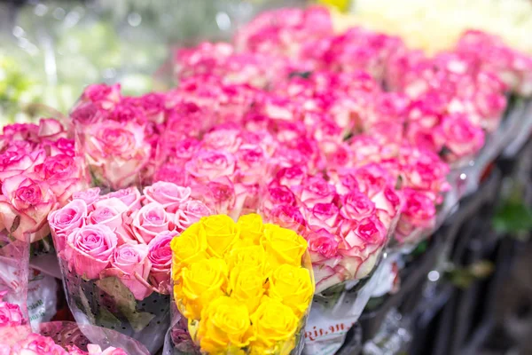 Букеты разноцветных роз. Свежий цветочный фон. Цветочный сервис. Подарок на свадьбу Оптовый цветочный магазин. Хранение цветов и склад — стоковое фото