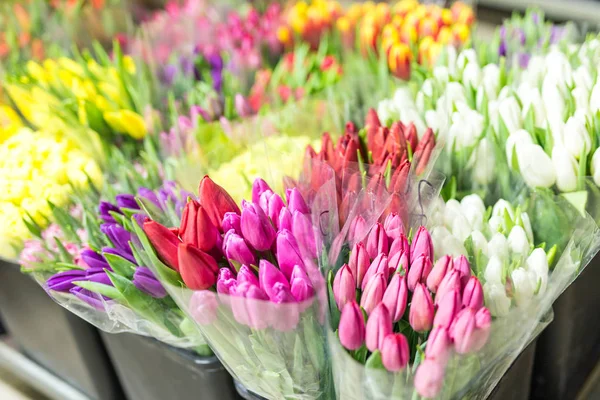 Lot of multicolored tulips bouquets. Flower market or store. Wholesale and retail flower shop.  Florist service. Woman day — Stock Photo, Image