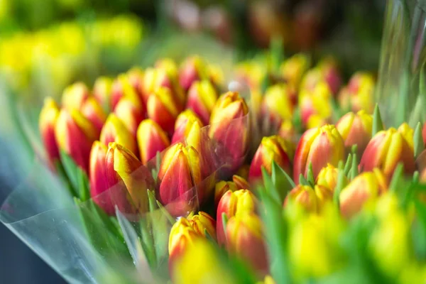 Lot of multicolored tulips bouquets. Flower market or store. Wholesale and retail flower shop.  Florist service. Woman day — Stock Photo, Image