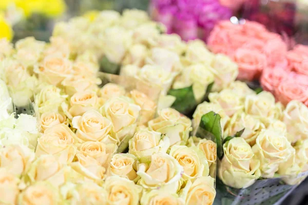 Buketter av rosor i multiclored. Färska blommor bakgrund. Florist service. Bröllop närvarande grossist blomsteraffär. Blomma-lagring och lager. Bröllop blomsterhandlare — Stockfoto