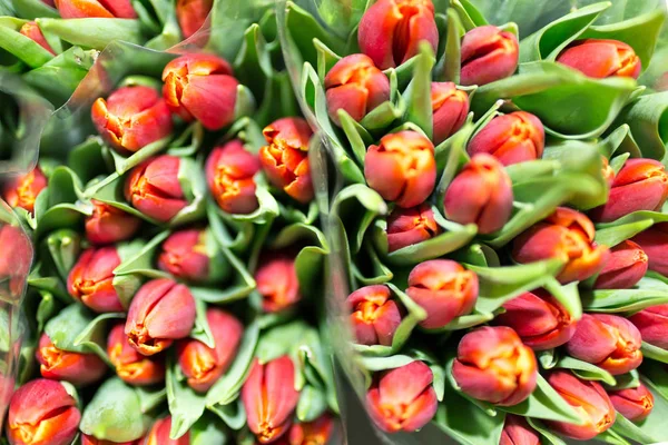 Bunch of many beautiful fresh orange tulips. Wholesale and retail flower store. Flower shop or market. Florist service concept. Floristy for wedding. Top view — Stock Photo, Image