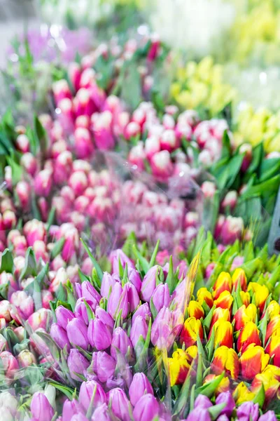 Vackra mångfärgade blombuketter. Olika färska tulpaner på blomsteraffär. Grossist- eller detaljistnivå blomma lagra. Fabrik lager. Florist-byrå. Odling och odling av blommor — Stockfoto