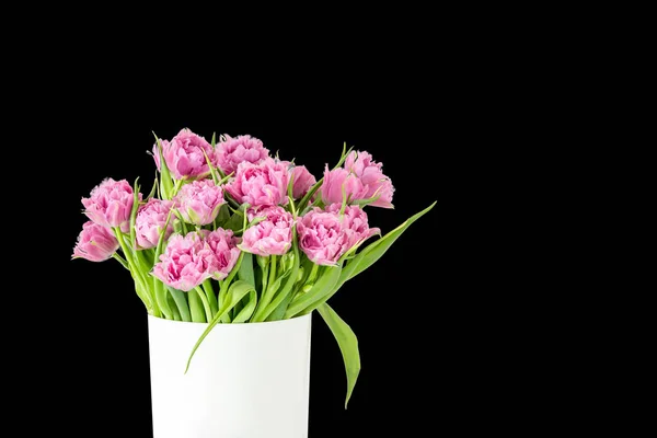 Ramo de tulipanes rosados en cubo. Flor fresca de Pascua de primavera. Fondo blanco, espacio de copia. Aislado en negro — Foto de Stock