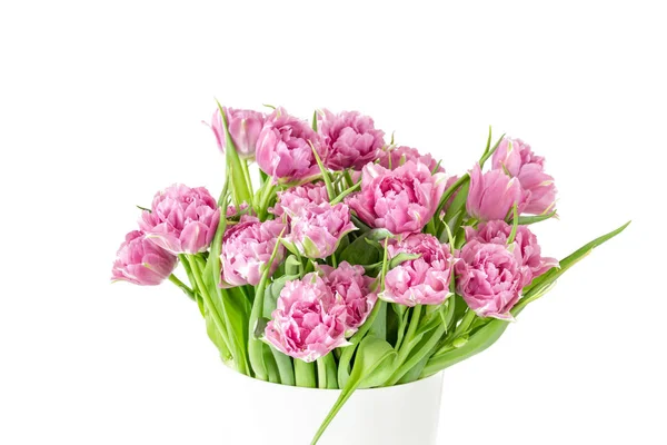 Bouquet of pink tulips in bucket. Fresh spring easter flower. White background , copy space. Isolated on white — Stock Photo, Image