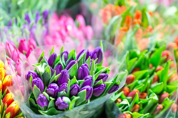 Beautiful multicolored flower bouquets. Various fresh tulips at flower shop. Wholesale or retail flower store. Plant warehouse. Florist agency. Growing and cultivation of flowers — Stock Photo, Image