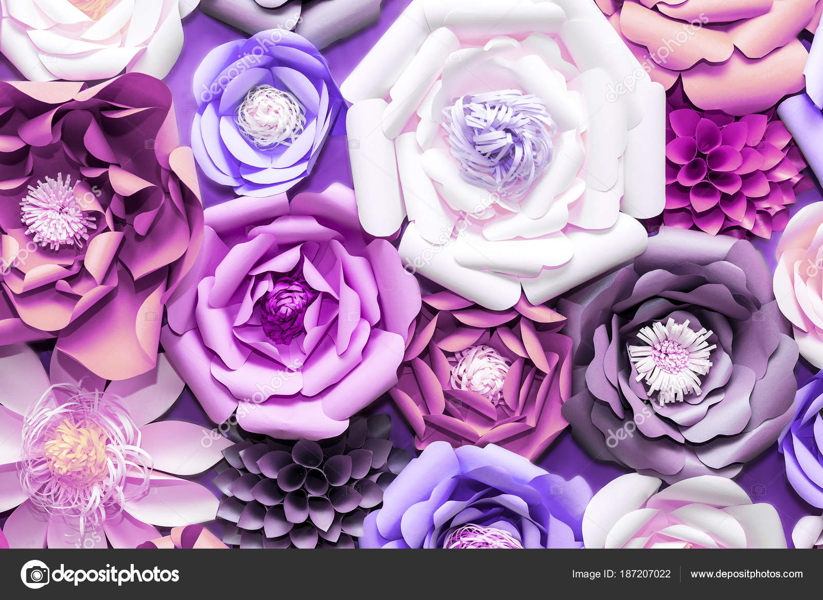 Colorful paper flowers on wall. Handmade artificial floral decoration. Spring abstract beautiful