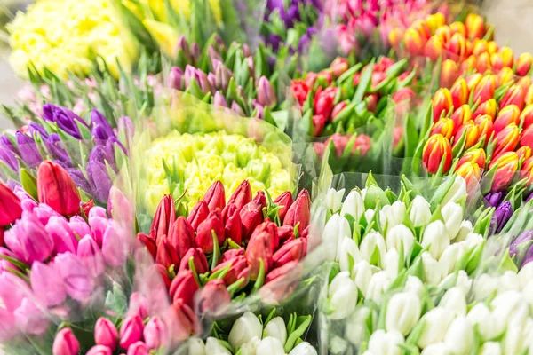 Lot of multicolored tulips bouquets. Flower market or store. Who — Stock Photo, Image