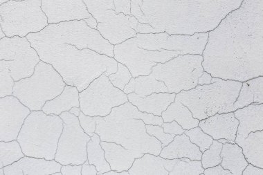 Kirli beyaz doku duvar kırık. Küçük düz çatlaklar. Boyalı yüzey üzerinde doğrudan kırık. Hücreleri fissür