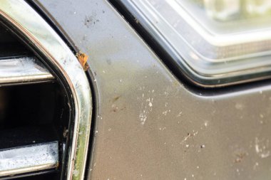 Araba Ön tampon ile birçok ezilmiş böcek close-up. Yüksek hızlı sürücü