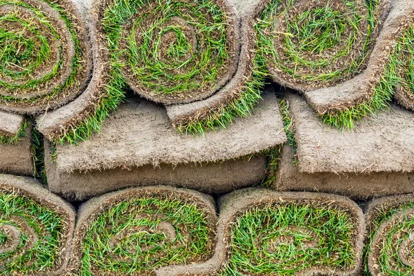 Close-up detalhes pilhas de grama gramado verde fresco laminado em paletes de madeira para instalação no parque da cidade ou quintal no dia ensolarado brilhante. Floresta de árvores verdes no fundo. Serviço de paisagismo jardinagem — Fotografia de Stock