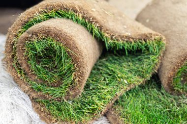 Parlak güneşli bir günde şehir parkında ya da arka bahçede yerleştirilmek üzere ahşap paletin üzerinde toplanmış yeşil çimen yığınları. Arka planda yeşil ağaç ormanı var. Bahçe peyzaj hizmeti