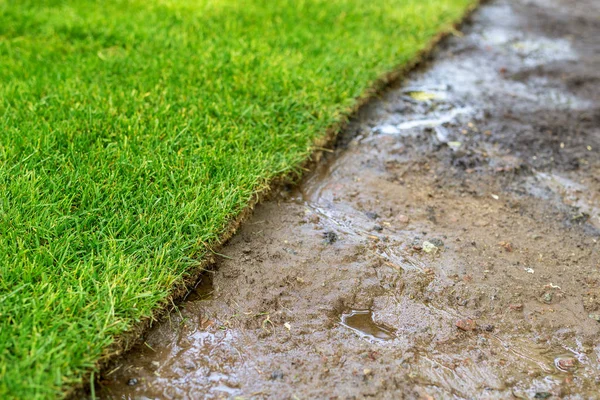 Linha Straigh de grama de gramado verde recém-instalado. terra molhada da sujeira preparada para a instalação no parque da cidade ou no quintal no dia ensolarado brilhante. Serviço de paisagismo jardinagem verde — Fotografia de Stock