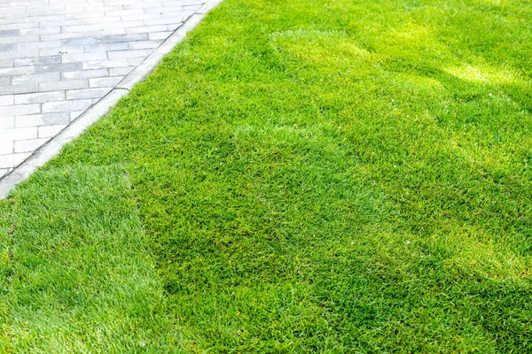 Straigh γραμμή του νέου πρόσφατα εγκατεστημένο πράσινο έλασης γρασίδι χαλί κατά μήκος πεζοδρομίου πέτρινο πεζοδρόμιο στο πάρκο της πόλης ή πίσω αυλή σε φωτεινή ηλιόλουστη μέρα. Πράσινη κηπουρική υπηρεσία εδαφοκάλυψης — Φωτογραφία Αρχείου