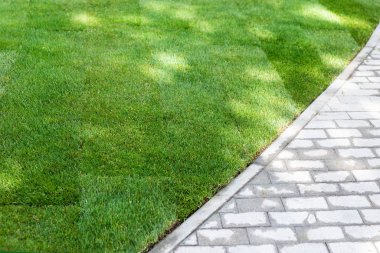 Parlak güneşli bir günde, şehir parkında ya da arka bahçede kaldırım boyunca uzanan yeşil çimen halısının düz çizgisi. Yeşil Bahçe Peyzaj Servisi