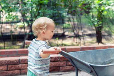 Cute adorable caucasian toddler boy playing with big old wheelbarrow at backyard in garden outdoors. Child little helper in t-short and shorts having fun pushing barrow and gardening at countryside