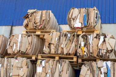 Sıkıştırılmış karton ve kullanılmış kağıt ambalajlar geri dönüşüm ve reiuse için forklift ile yığın halinde toplanır. Geri dönüşümlü materyal ve çevre koruma kavramı. Çöp öğütücü.