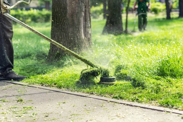 Pracownik Koszenie Wysokiej Trawy Elektrycznym Lub Benzynowym Trymera Trawnik Parku — Zdjęcie stockowe