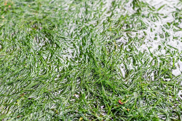 Крупный План Зеленый Газон Травы Покрыт Водой Таяния Снега Оттепели — стоковое фото