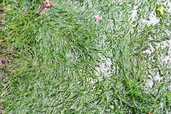 Крупный План Зеленый Газон Травы Покрыт Водой Таяния Снега Оттепели — стоковое фото