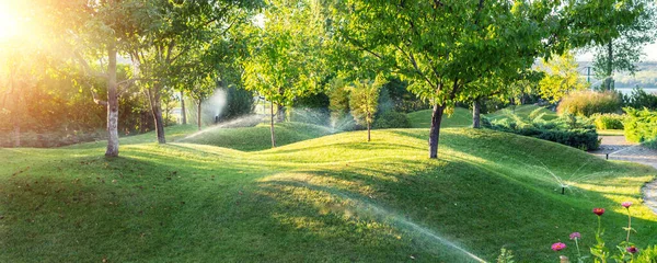 Sistema Riego Automático Del Jardín Del Paisaje Con Diferentes Aspersores — Foto de Stock