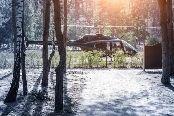 Zwarte Prive Moderne Luxe Helikopter Grasveld Buurt Van Bos Het — Stockfoto