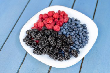 Atıştırmak için çeşitli tatlı, organik mevsimlik meyveli beyaz seramik tabak. Kahvaltı için taze ahududu, böğürtlen ve yaban mersini karışımı. Sağlıklı vitamin beslenme diyeti.