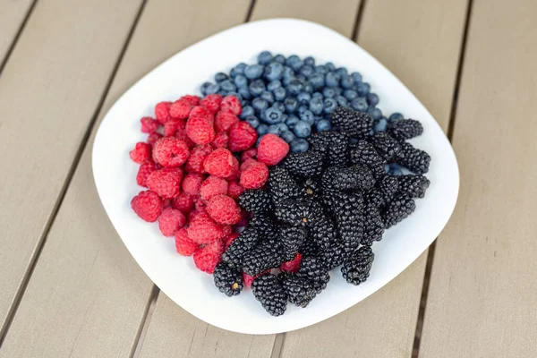 Λευκό κεραμικό πιάτο με διάφορα γλυκά ζουμερά βιολογικά εποχιακά μούρα για σνακ. Ώριμο νόστιμο φρέσκο βατόμουρο, βατόμουρο και blueberry καλοκαιρινό μείγμα για πρωινό πρωί. Υγιεινή διατροφή βιταμινών — Φωτογραφία Αρχείου