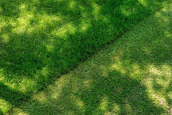 Straigh diagonal line of mowed tall grass at home backyard or city park. Lawn trimming service and garden maintenance concept. Lawnmower lawn care background with mid day shadows — Stock Photo, Image