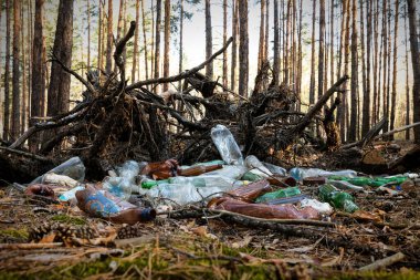 Büyük plastik ve cam şişeler çam ormanlarında ziyan oluyor. İnsan çöpü geri dönüşümlü çöplerle kirletilmiş doğa ortamı. Ekoloji kirliliği felaket tehlikesi.
